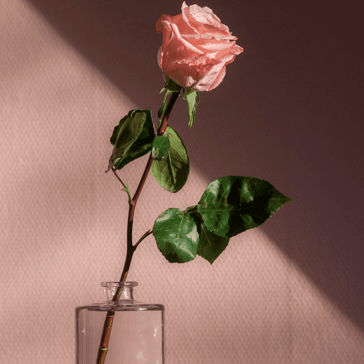 Dusty rose dried flower bouquet tied with satin ribbon