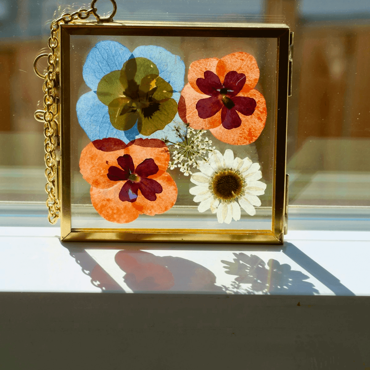 Pressed flowers under glass in walnut frame